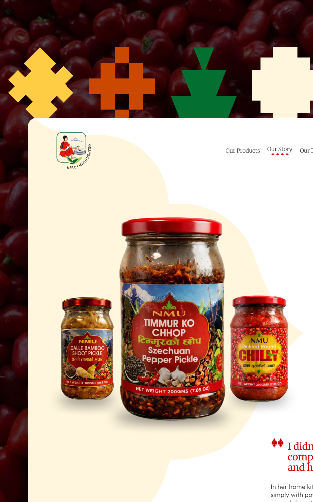 Thumnbnail pic of NMU showing a part of their website's screenshot